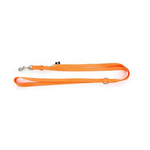 Pour personnaliser votre jardin：Laisse orange Martin Sellier multi neo+