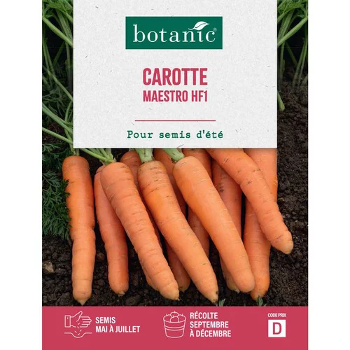Choix extérieur：Graines de carotte maestro HF1 botanic® - graines à semer