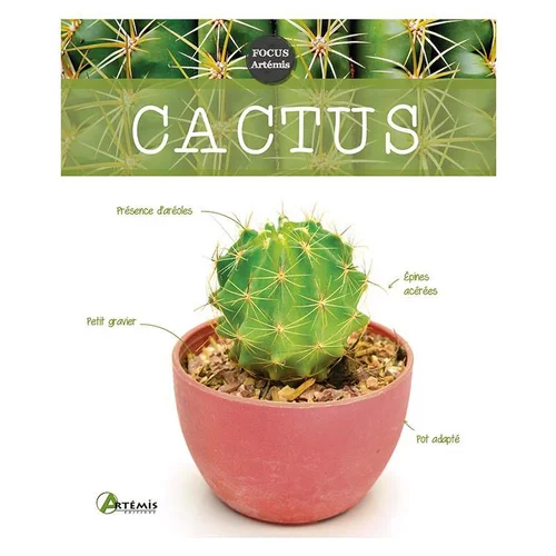 Pour profiter pleinement du jardin:Cactus