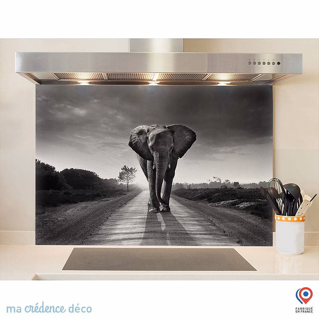 Crédence cuisine fond de hotte Eléphant Noir et blanc – Verre trempé, L 90 cm x H 70 cm, MaCrédenceDéco