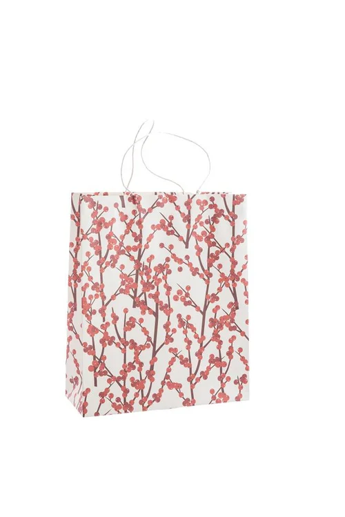 Bien dehors:Sac cadeau baies coloris multicolore en papier - 35,5 x 35,5 x 15 cm