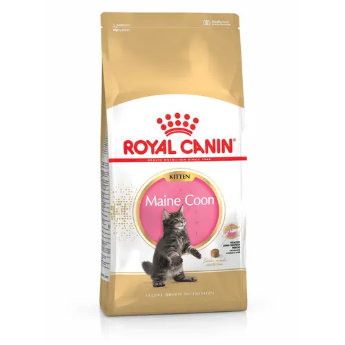 Pour mieux équiper vos extérieurs：Croquette pour chaton et chatte adulte en gestation Maine Coon Royal Canin - 2 kg
