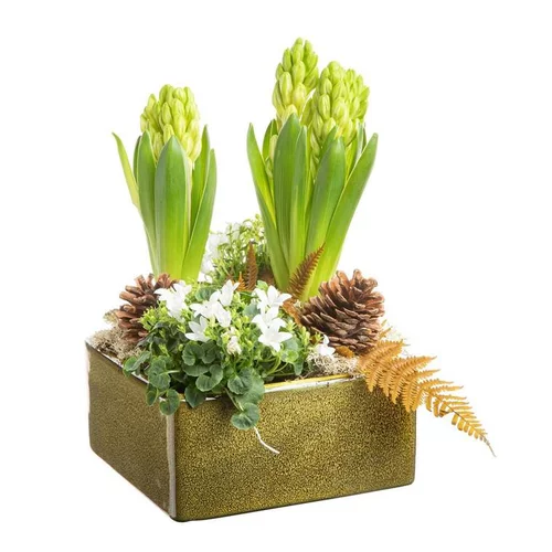Nature pour le jardin:Composition de Noël jacinthe campanule en carré Ceramique verte