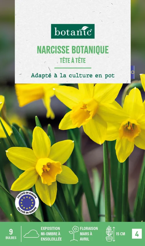 Nature facile:Narcisse botanic® - 9 bulbes