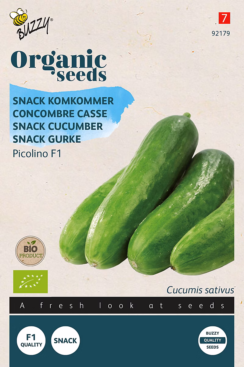 Buzzy Organic Coriandre à feuille – bio Semences | Ca. 3 gr