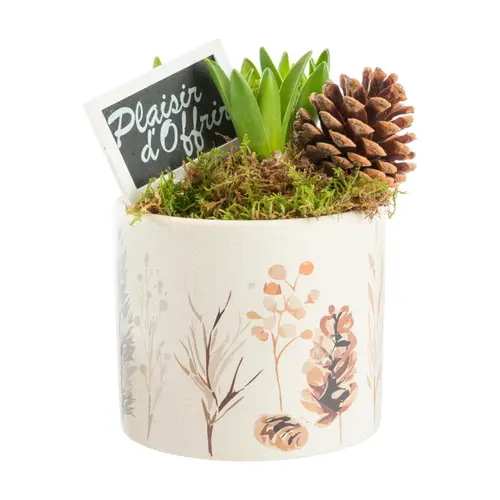 Bien pensé extérieur:Jacinthe x 3 pot céramique décor sous-bois - Ø 12 cm