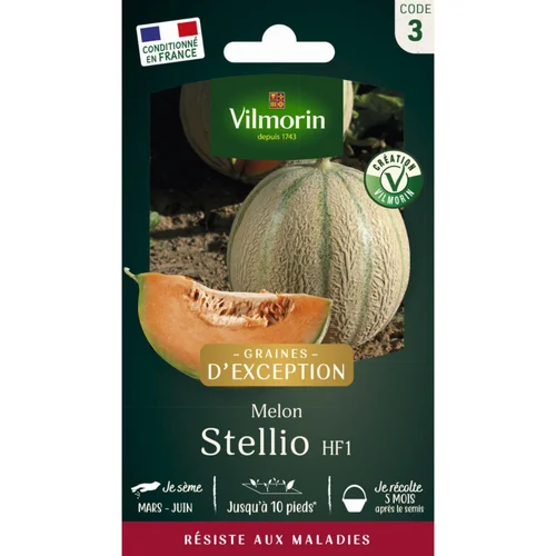 Pour un jardin bien équipé:Sachet de semences potagères graines de melon Brode Stellio Graines d'Exception