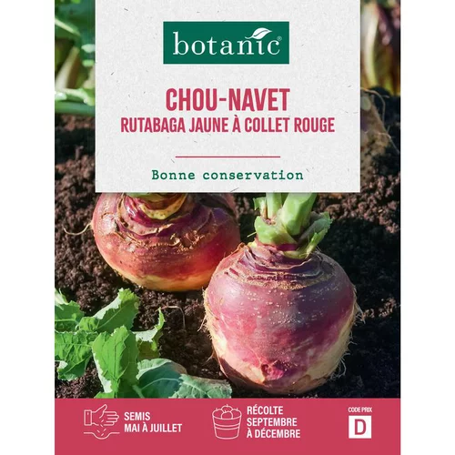 Jardin en pratique：Graines de Chou-navet rutabaga jaune à collet rouge botanic® - graines à semer