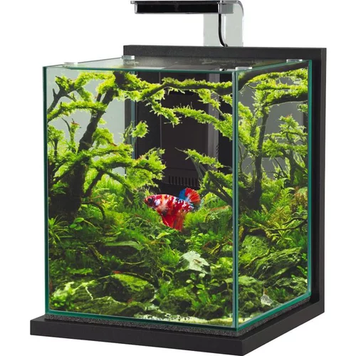Nature facile：Kit aquarium Jalaya XL coloris gris anthracite Zolux - 25 x 25 x 30 cm