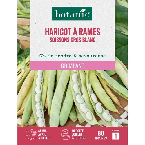 Jardin à embellir:Graines d'haricot à rames soissons gros blanc botanic® - 80 graines à semer