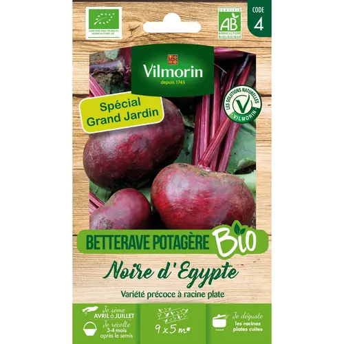 Pratique dehors：Graines de betterave Egypte bio coloris rose Vilmorin jardin - graines à semer