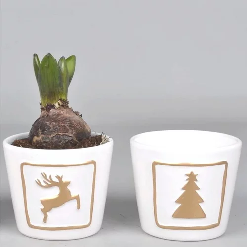 Pour un extérieur plus pratique:Jacinthe en pot décoratif de 10 cm
