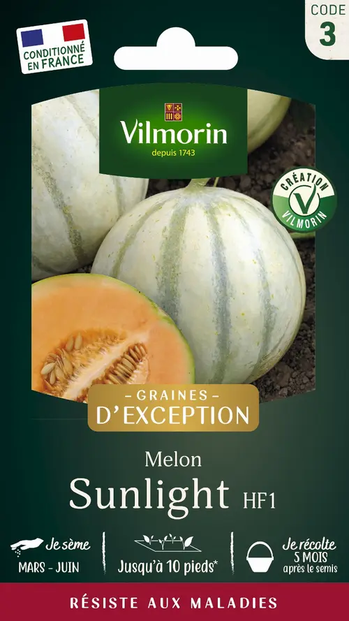 Facile à intégrer au jardin:Graines de melon lisse sunlight coloris orange Vilmorin jardin jardin - graines à semer