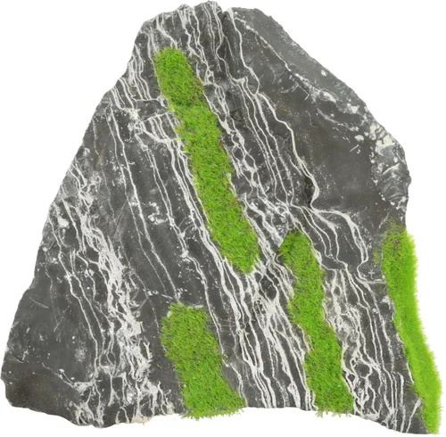 Sélection pratique：Pierre bicolore avec plante aquatique pour aquarium Zolux stone « ki pousse » M
