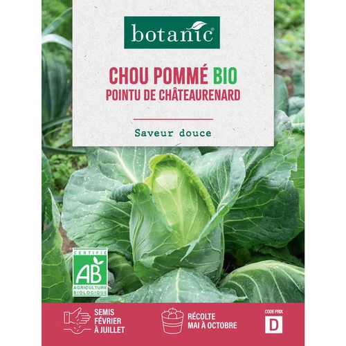 Une solution adaptée à l’extérieur：Graines de chou cabus de Châteaurenard bio botanic® - graines à semer