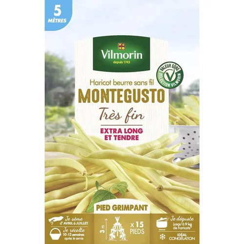 Bien pour le jardin：Graines de haricot beurre sans fil Montegusto très fin Vilmorin - graines à semer
