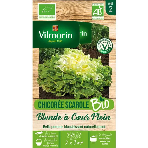 Jardin confort：Graines de chicorée scarole blonde à cœur Vilmorin - graines à semer