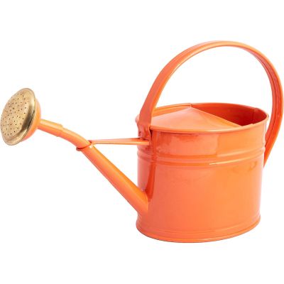 Arrosoir ovale en acier 1.75 Litres (Rouge corail)