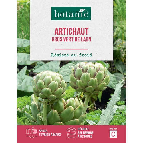 Une solution adaptée au jardin:Graines de artichaut gros vert de Laon botanic® - graines à semer