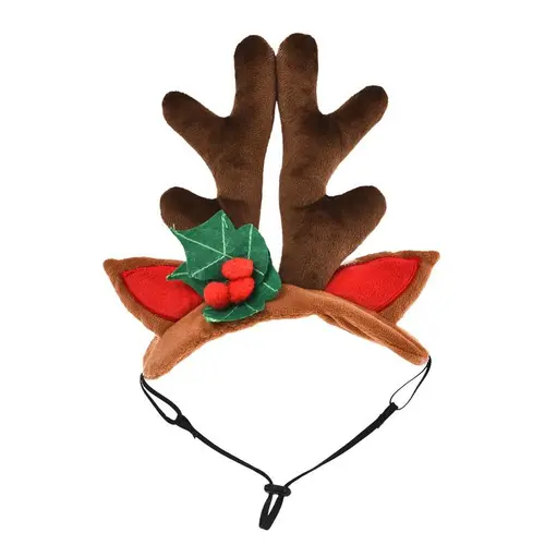 Équipement jardin：Serre tête bois de reine coloris marron Bubimex - 19 cm