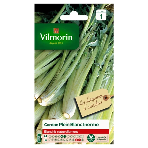 Jardin à vivre:Cardon Plein Blanc Inerme Vilmorin - graines à semer