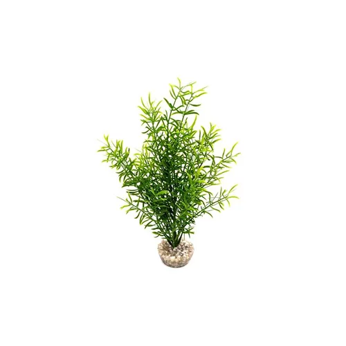 Solution utile：Sprengeri haut vert en plastique 26 cm