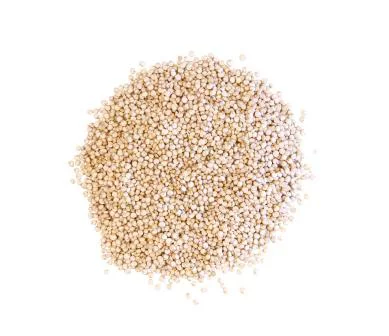 Une idée pour votre jardin：Quinoa - Prix au kilo