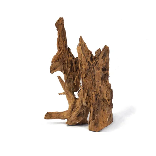 Un choix malin pour l’extérieur:Racine pour aquarium coloris marron Aquavie Mangrove - Taille tgm 80 à 120 cm