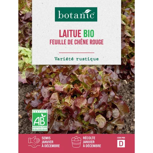 Jardin confort plus：Graines de laitue feuille de chêne rouge bio botanic® - graines à semer
