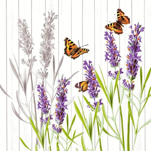 Un choix pratique pour le jardin：20 serviettes 3 plis Smell well 33x33 cm
