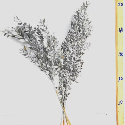 Maison et extérieur:Bouquet de 4 à 5 branches de ruscus (petit-houx) teinté or et argent pour décoration de Noël