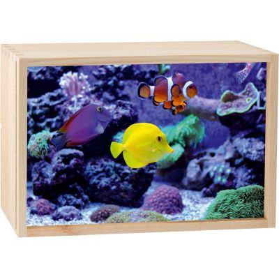 Boite lumineuse LED 30x20 cm (Aquarium)