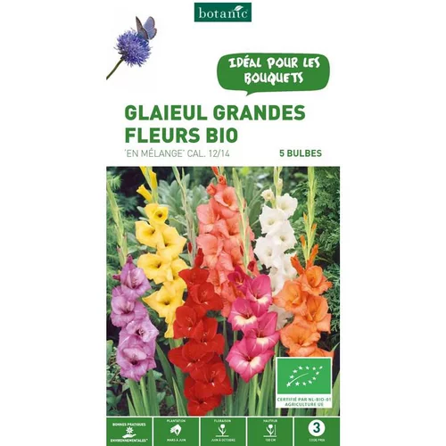 Tendance extérieur:Glaïeul à grandes fleurs mélange bio botanic® - 5 bulbes