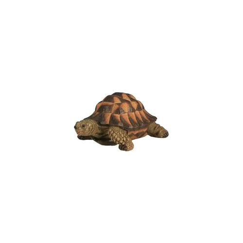 L’essentiel pour l’extérieur：Tortue verte 17cm