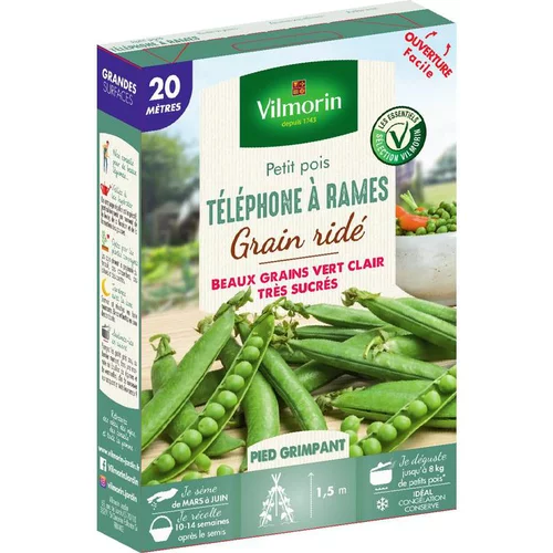Une sélection pensée pour l’extérieur：Graines de petit pois téléphone à rames grain ridé Vilmorin - graines à semer