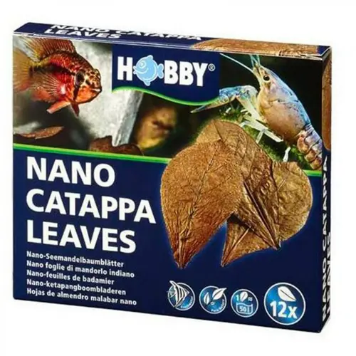 Pratique dehors:Feuilles de badamier nano catappa, pack de 12, HOBBY