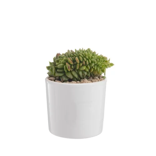 Utile jardin：Echeveria mix pot émaillé Ø10xH15 cm