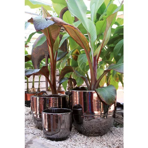 Jardin et solutions:Vase gris gamme Rebord Ø 21 cm