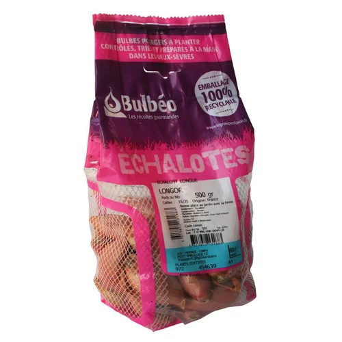 Jardin déco：Bulbes d’échalotes longue Longor calibre 15/35, 500 g
