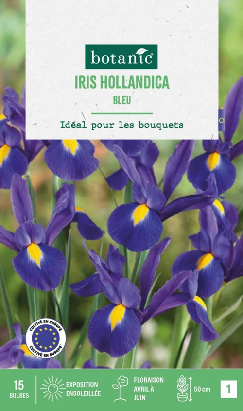 La solution pour votre jardin:Iris hollande coloris bleu botanic® - 15 bulbes