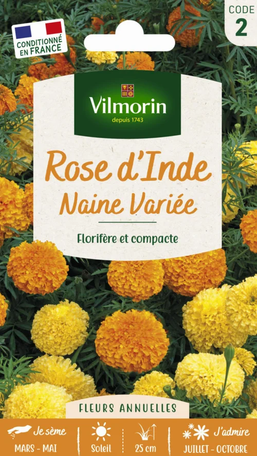 Style extérieur：Graines de Rose d’Inde naine variée Vilmorin - graines à semer