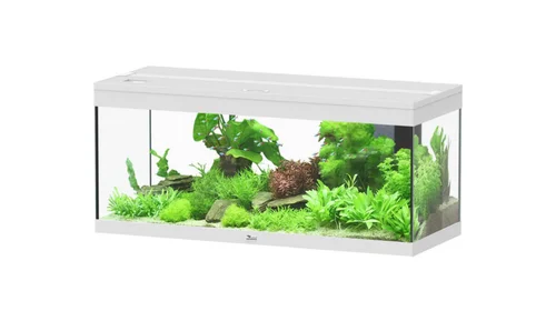 Jardin idée:Aquarium coloris blanc Aquatlantis Prestige LED 2.0 144 L - 100 x 40 x 40 cm