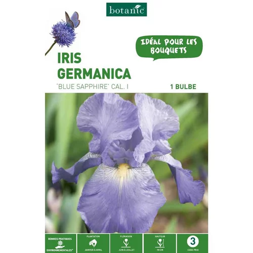 Jardin et loisirs:Iris Germanica Blue Sapphire bleu botanic® - 1 bulbe