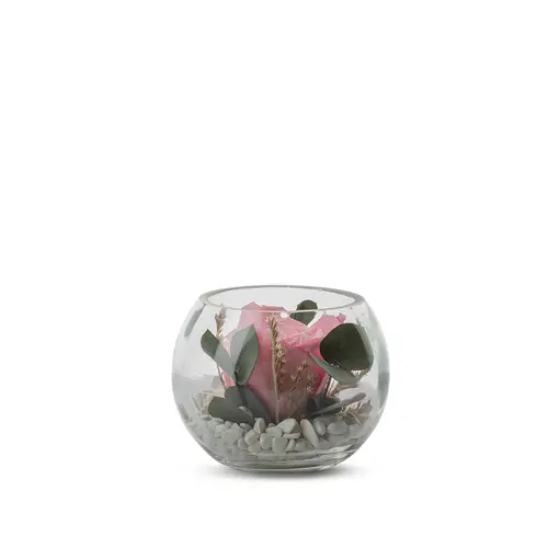 Malin au jardin：Verrine de végétaux stabilisés rose pastel et eucalyptus Naturalys Venezia 11 - Ø 11 x H 11 cm
