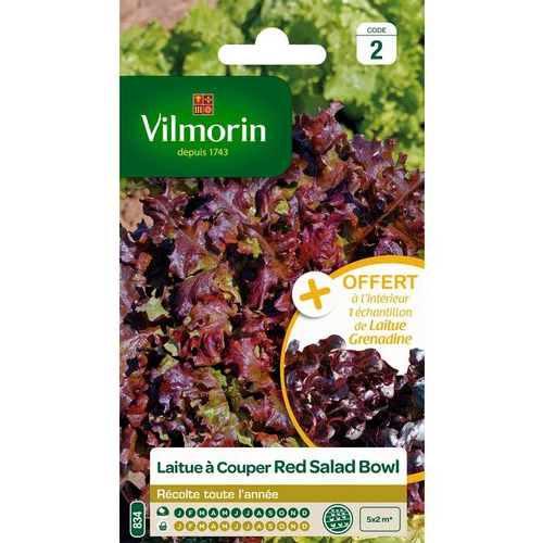 Pour l’extérieur：Graines de laitue à couper red salad bowl Vilmorin - graines à semer