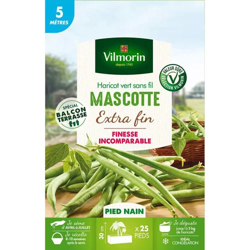 Confort au jardin:Graines de haricot nain Mascotte Vilmorin x 5 mètres - graines à semer