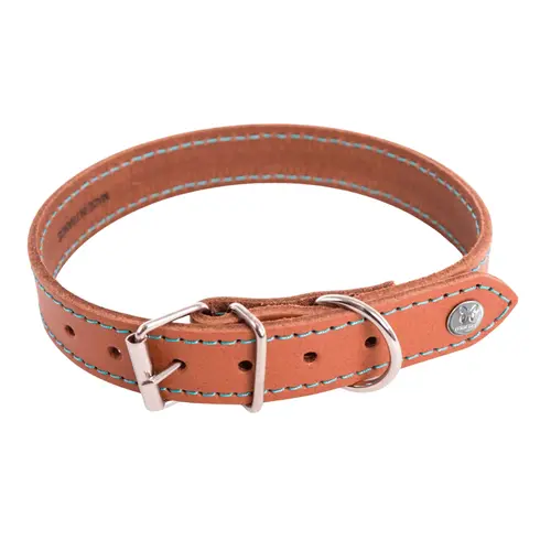 Bien au jardin:Collier pour chien en cuir coloris cognac turquoise Martin Sellier Flash - taille 35/75