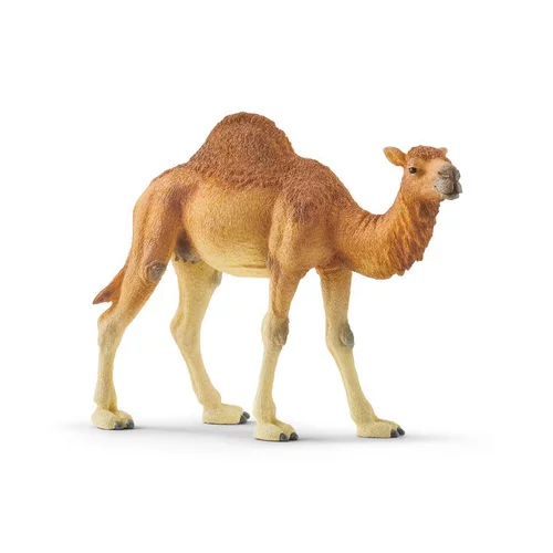 Extérieur pratique：Figurine Dromadaire plastique 14x10x3,4 cm à partir de 4 ans