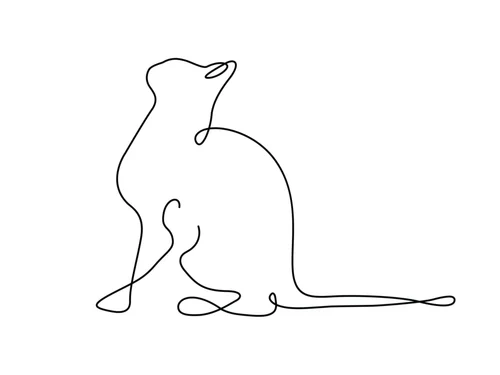 Pour votre confort en extérieur:Affiche illustration noir et blanc Aquarupella Chat - 30 x 40 cm
