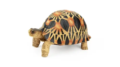 Jardin actuel：Décoration pour terrarium coloris multicolore en résine figurine tortue Terratlantis - 12,5 x 8,5 x 7 cm